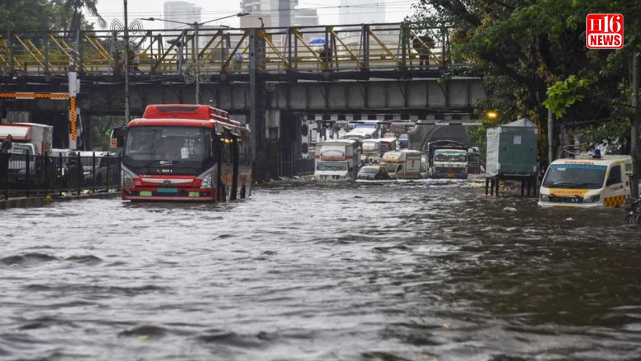 IMD forecasts heavy to very heavy rainfall this weekend